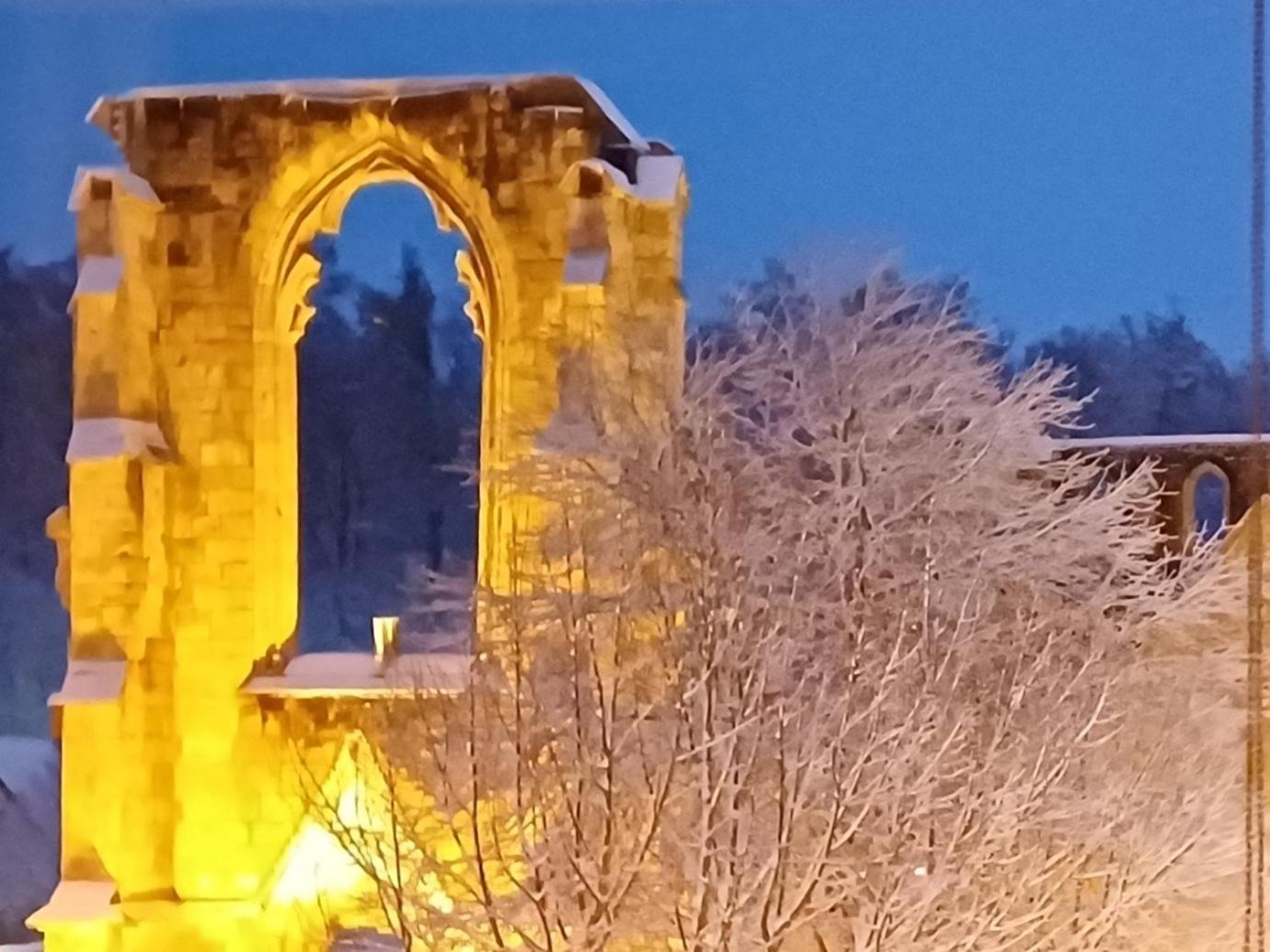 Ferienwohnungen Klosterblick Walkenried Bagian luar foto