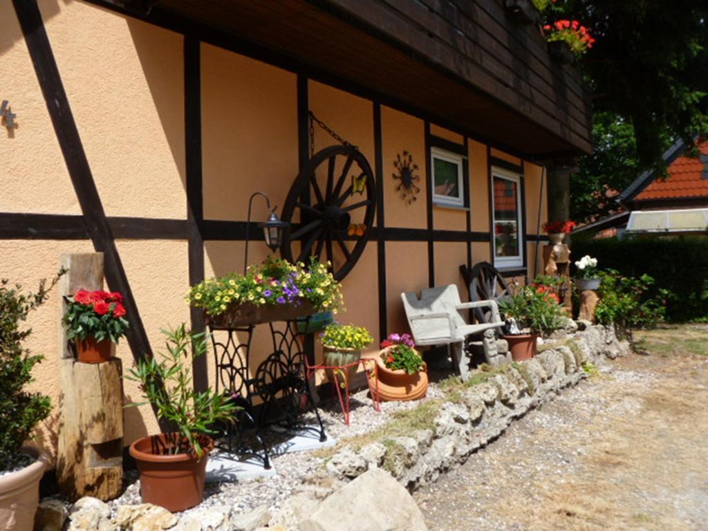 Ferienwohnungen Klosterblick Walkenried Bagian luar foto