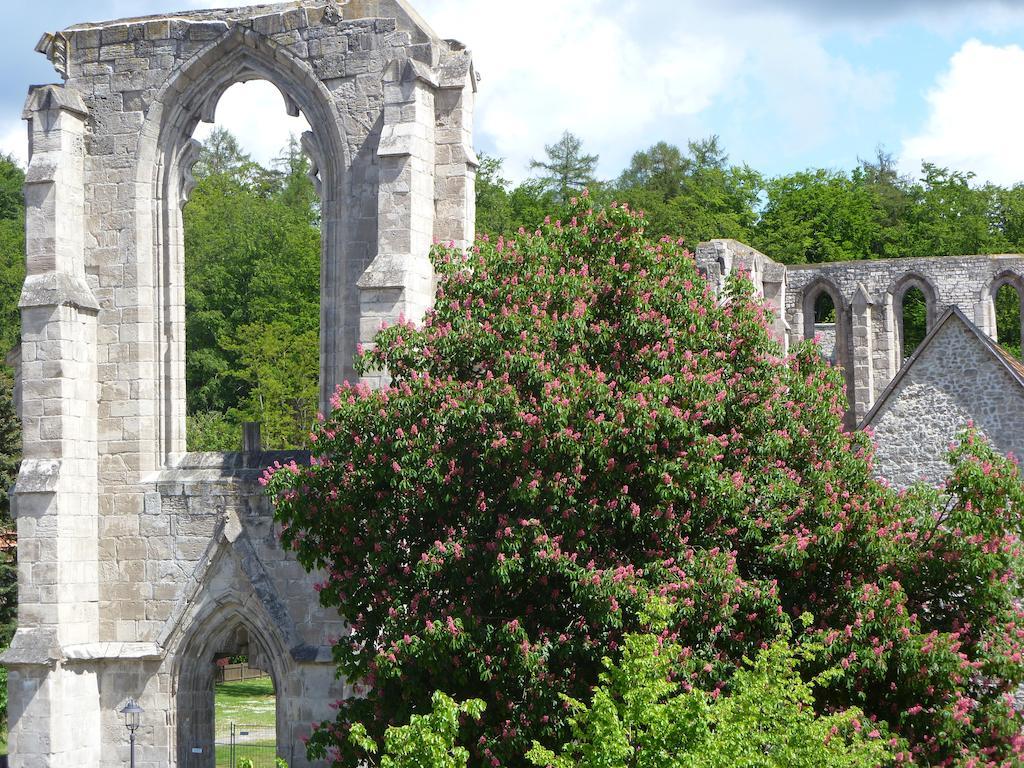 Ferienwohnungen Klosterblick Walkenried Bagian luar foto