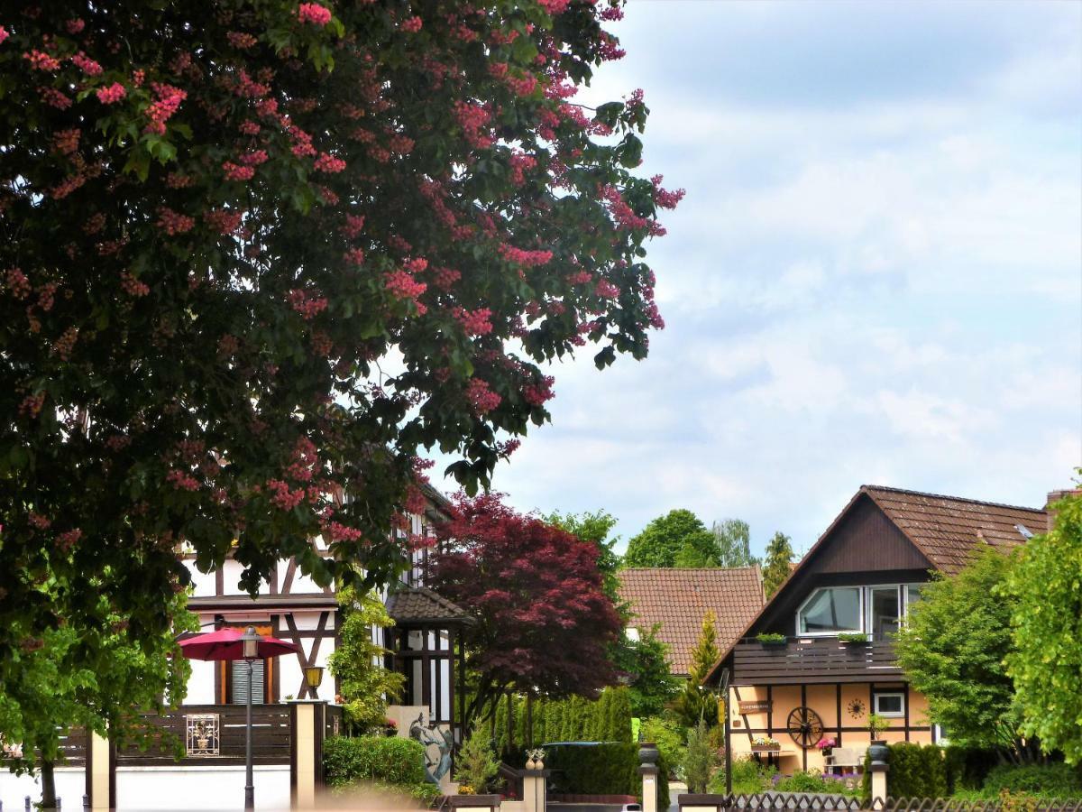 Ferienwohnungen Klosterblick Walkenried Bagian luar foto